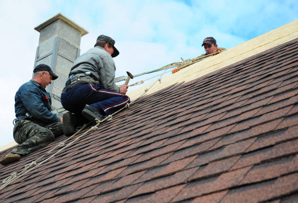 Best Roof Maintenance Services  in Princevle, IL